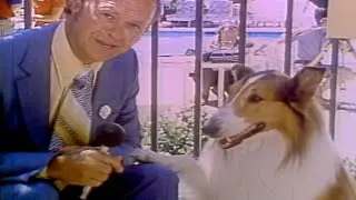 NATIONAL DOG DAY: Beloved TV dog Lassie gave hilarious interview in retro find