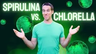 Spirulina vs. Chlorella - What's the difference between these algae superfoods?