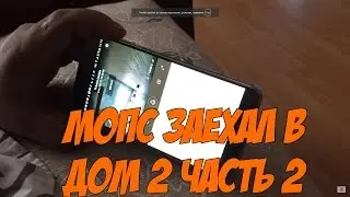 Мопс заехал в Дом-2 часть 2