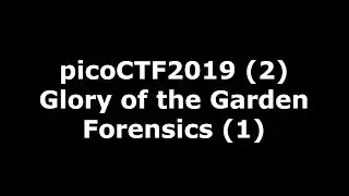 picoCTF2019 nr 2 - video walkthrough of Glory of the Garden (using FlexHex)