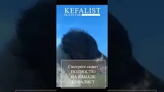 Спиннинг для рыбалки на кефаль: фидер, ультралайт. Как выбрать удилище для рыбалки с берега и заброд