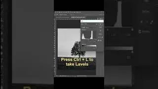 Select a Tree using Channels in Photo with Photoshop  ||  