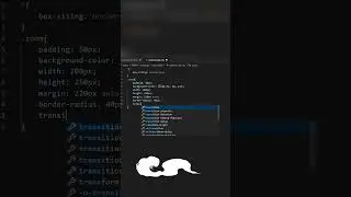 css zoom effect 