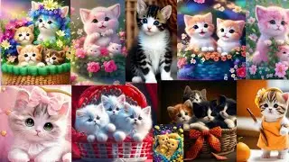 Cute Cat Dp Images || Dpz Pics || Whatsapp Dp Images  ||✨ Beautiful Cat Pics 💫  ll Unique Dps 🐈🌼🦋♥️