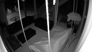 Big Snake roams patio and climbs up on the deck scarring the owners #snake #animals #scary