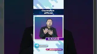 Clostridium Difficile - Quick Bites (Microbiology)