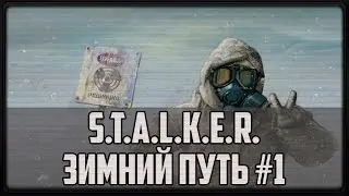 S.T.A.L.K.E.R. Зимний путь #1 (Конкуренты)