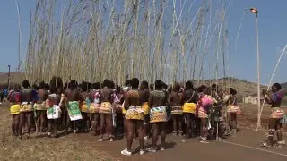 Young women dance to the Zulu king to celebrate virginity