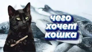 Посмотрите это видео, прежде чем заводить кошку 😺