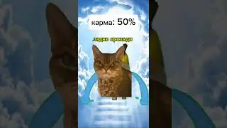Ангел определяет по карме!🗿 #рекомендации #глобальныерекомендации #рек #youtube #популярное #юмор
