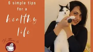 Six Simple Steps for a Healthy Lifestyle | KITTEN N' COFFEE