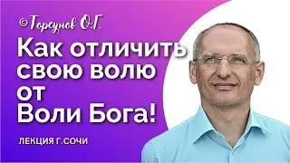 Как отличить свою волю от воли Бога? Торсунов лекции Смотрите без рекламы!