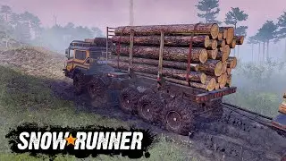 Wooden logs Late Night Delivery | Offroad Truck Gameplay