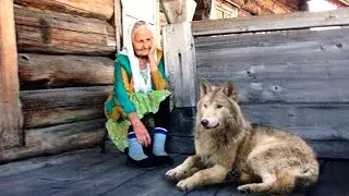 Бабуля осталась одна-одинешенька во всей деревне и стала увядать, пока не появился волк