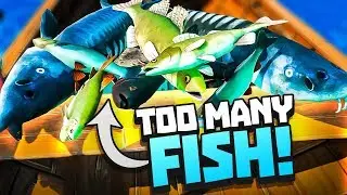 TOO MANY FISH IN THE BOAT! - Catch & Release Gameplay - VR HTC Vive Pro