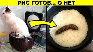 Планы, Которые Пошли Наперекосяк. Часть 3