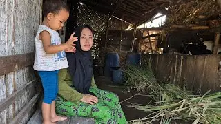 BAHAGIA...!!! MANTAN TKW HONGKONG DITIPU SUAMI || KEHIDUPAN JANDA DESA SEDERHANA || JANDA ANAK SATU