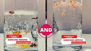 Dancing Raisins Science Experiment | Science For Kids | Easy Peasy DIY For Kids