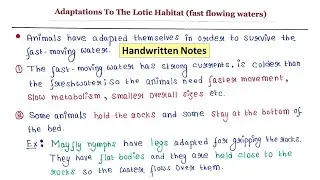 Adaptations to the lotic habitat | Handwritten notes