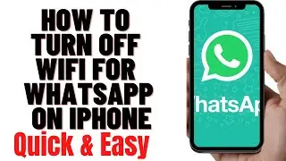 HOW TO TURN OFF WIFI FOR WHATSAPP ON IPHONE 2024