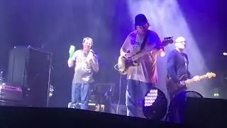 Pavement - "Major Leagues" (Live in Berlin, November 5, 2022)