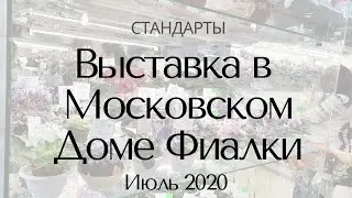 Выставка в Доме Фиалки Июль 2020 Стандарты