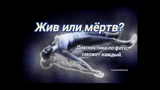Жив или мёртв? Диагностика по фото.