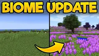 Mojang Wont Update These 16 Biomes So I DID