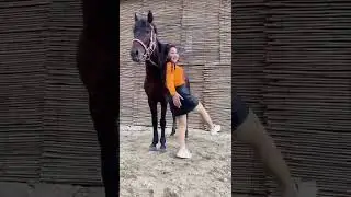 horse love, horse love youth, horse riding 369