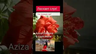 Ya Hasra. Aziza. 👍 @Sergtv