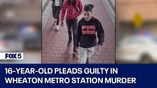 16-year-old pleads guilty to murdering 18-year-old at Wheaton Metro Station