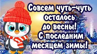 Совсем чуть-чуть осталось до весны.... С последним месяцем зимы! Красивое  поздравление с 1 февраля!