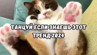 💗ТАНЦУЙ ЕСЛИ ЗНАЕШЬ ЭТОТ ТРЕНД 2024💗