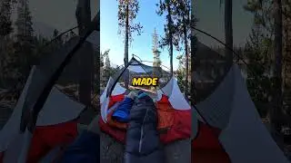 Camping Adventures with His Dog 🏕️🐕 #cute #cuteanimals #dog