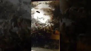 Очень много пчел 
