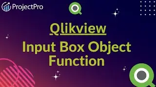 Input Box Object Function in QlikView