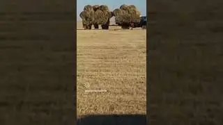 ОСТОРОЖНО ОЧЕНЬ СМЕШНО!!!🤣🤣🤣 #reels #trend #рекомендации #приколы #tamaev #wengallbi #тамаев #anime