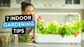 7 Indoor Gardening Tips for Smart Home Owners