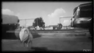 Frankenweenie - Blue ~ Happy Halloween ~ *massive spoiler alert* /!\