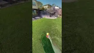 POV: What my dreams are like