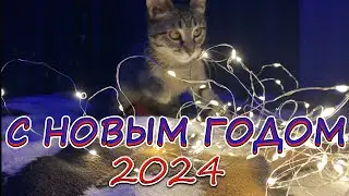 ПОЗДРАВЛЕНИЯ С НОВЫМ 2024 ГОДОМ!