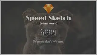 Website Speed Sketch - Syrebral: A Photographer's Website