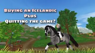 Buying An Icelandic | Updates/Quitting SSO