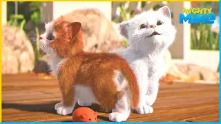 Cutest Cats | Mighty Mike | 110' Compilation | Cartoon for Kids