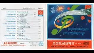 Pochonbo Electronic Ensemble Vol. 161 || 보천보전자악단 제161집