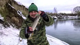 Рыбалка просто кайф. Рыбалка на спиннинг в глухозимье. Клюет окунь, щука, судак. Стилет Волжанка.