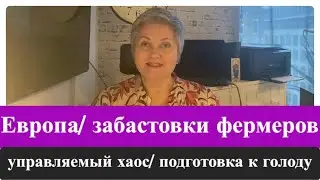 Забастовки фермеров/ управляемый хаос/ подготовка к голоду…