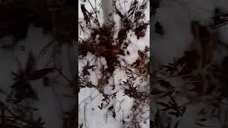 Придётся принимать непопулярные меры.