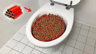 1000 Firecrackers vs Toilet