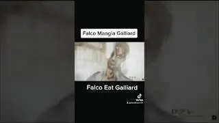 Falco Eat ' s  Galliard | Aot / Porco